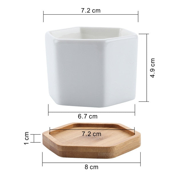 T4U Ceramic Hexagon Succulent maceta bonsai pot Cactus Planter Pots with free Bamboo Tray for Home Decoration