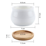 T4U Ceramic Hexagon Succulent maceta bonsai pot Cactus Planter Pots with free Bamboo Tray for Home Decoration