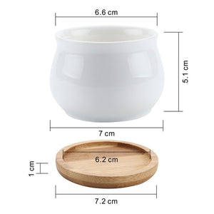 T4U Ceramic Hexagon Succulent maceta bonsai pot Cactus Planter Pots with free Bamboo Tray for Home Decoration