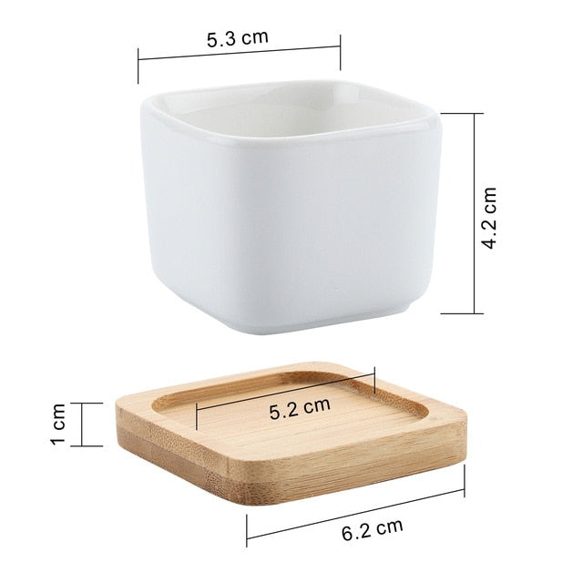T4U Ceramic Hexagon Succulent maceta bonsai pot Cactus Planter Pots with free Bamboo Tray for Home Decoration