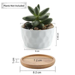 T4U Ceramic Hexagon Succulent maceta bonsai pot Cactus Planter Pots with free Bamboo Tray for Home Decoration
