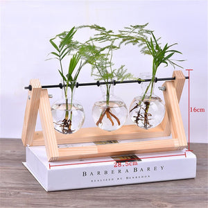 Creative Wooden Stand Glass Terrarium Container Hydroponics Planter Flower Pot Tabletop Vase DIY Home Office Wedding Decor