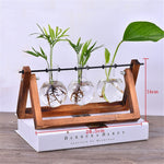 Creative Wooden Stand Glass Terrarium Container Hydroponics Planter Flower Pot Tabletop Vase DIY Home Office Wedding Decor