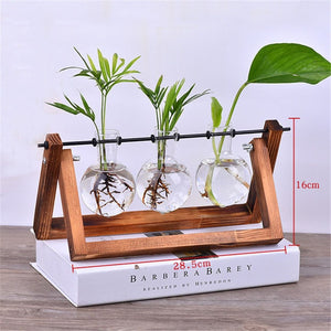 Creative Wooden Stand Glass Terrarium Container Hydroponics Planter Flower Pot Tabletop Vase DIY Home Office Wedding Decor