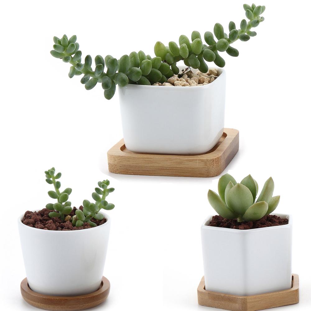 T4U Ceramic Hexagon Succulent maceta bonsai pot Cactus Planter Pots with free Bamboo Tray for Home Decoration
